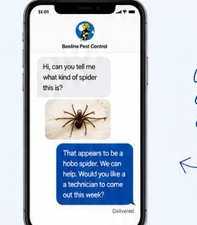 Phone chat mockup